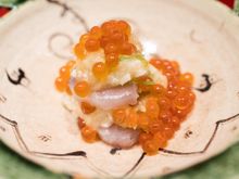 Spanish Mackerel