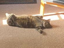 Floyd showing off the 180 degree pose