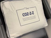 Pillow and duvet come in this bag