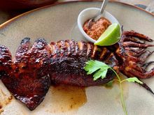 Grilled squid 