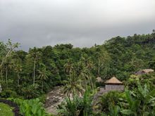 View from breakfast restaurant 