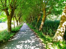 A bit further on, the walking route led up to 