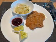 Germany’s smallest Schnitzel , compare the size to the cranberry sauce 😂