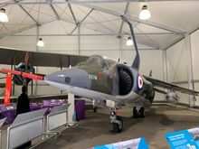 Harrier