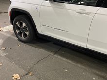 Spotted a plug in 