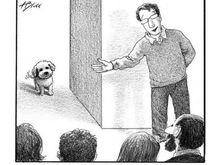 Not my dog, but it very well could be! :D