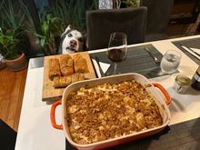 Dog liked the smell of it
