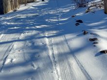 Still a solid sheet of ice 