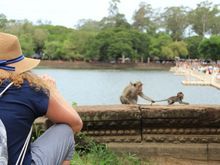 Monkey And Mom