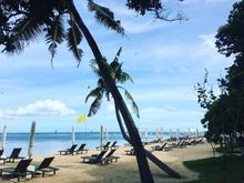 Beach with Sunbeds