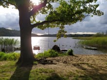 This is the lakeland near the Art Museum of Silkeborg 