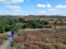 One of the wonderful trails on Luneburg Heath 