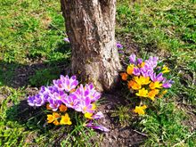It was already spring in Kandersteg, although there was still a lot of bad weather to come 