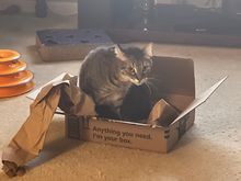 The caption on the box says it all.