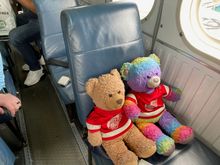 Robin and Cheddar ready for the flight!