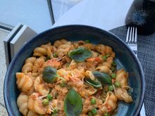 Dungeness crab Conchiglie