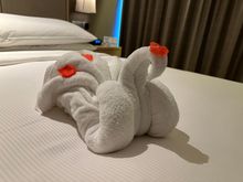 Housekeeping towel art
