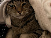 If I can’t see mama, mama can’t see me. - Fred