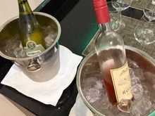 Chardonnay and Rosé (the red wine was Primitivo Puglia)