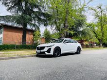 Side profile - there is definitely road presence with this car