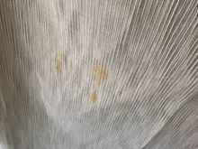 Stains on the drapes
