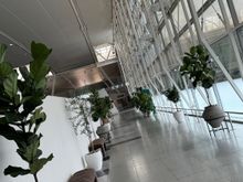 JFK Delta One Check-In Entry 