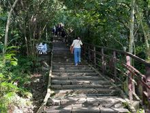 Steps all the way to the top