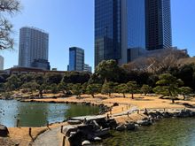 It only took 15 mins from airplane door to entering Japan. Sadly there was a 2 hour delay on our connecting JAL domestic flight to Sapporo. So we took the monorail to visit Kyu-Shiba-rikyū Gardens for a quick wander. Returning to HND T1, we learnt of an indefinite delay on our flight…
