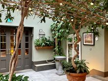 The Garden