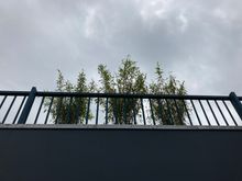 Just a warning : don't brag or moan to loud or in any case sit au naturel / in your birthday suit / or as Venus unadorned because the terrace of the Penthouse de Witt is right above you .... unless you want them to join in .... but i digress...