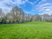 Park 