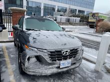 All covered in ice the morning after a snowstorm/blizzard. 