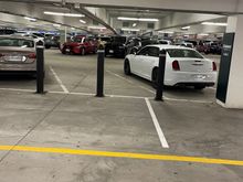 Grey Malibu and White Chrysler 300 is EA; the rest are ES 