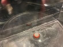 Nespresso water tank needed cleaning.