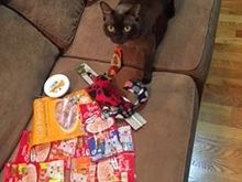 kitty santa