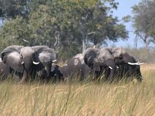 Botswana