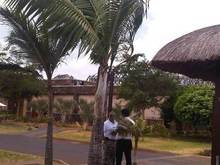 grand mauritian 4