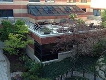 Interior garden/patio