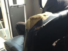 Torn Seat #1