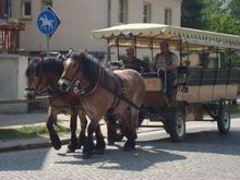 anns trip photos 552