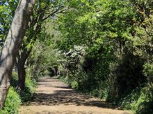 A typical Sark road