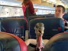 Let me add this to you Mutual of Omaha's Wild Kingdom list.