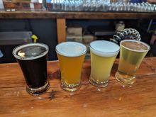 Watershed  Brewing Flight (very disappointing)