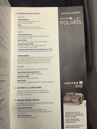 UA 40 EWR -FCO

(Had to ask for the gel pillow)