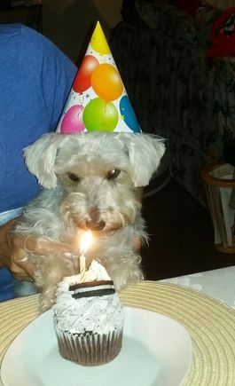 The birthday girl. ...different birthday though. 