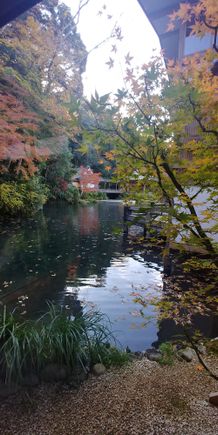 Lake and Noh Stage