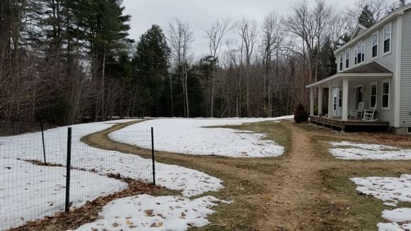 Front yard. The trails are snowthrower-created, for the dogs. It's a minefield of poop. And yeah, that's a fenced garden to the left.