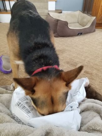 Nomnomnom