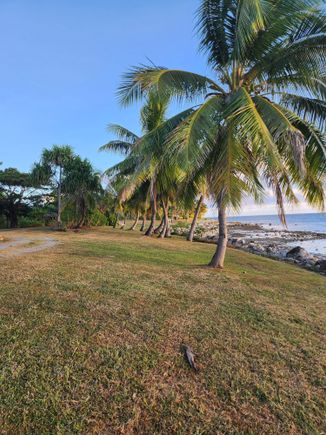 Hammock to left of villa.