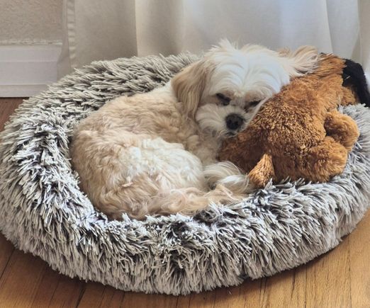 Sleeping on Felicia,  his girlfriend 